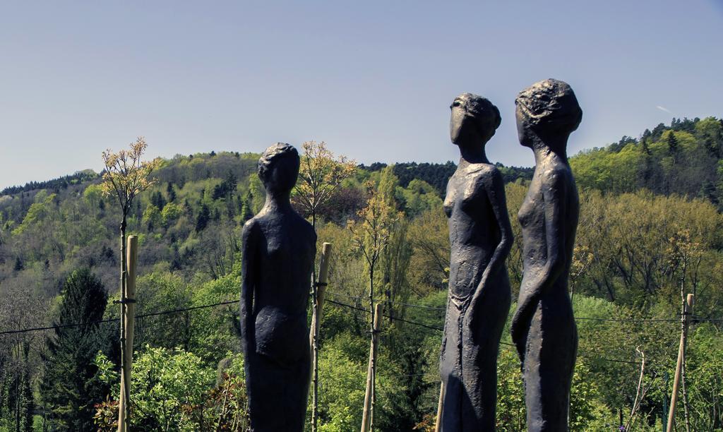 Le B Cottage & Spa Prive Riquewihr Luaran gambar
